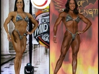 Team PROformations npc contest prep services ng1p5