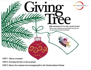 Life Transformations Fitness Giving Tree
